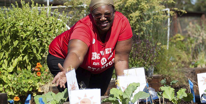 volunteer at harvest festival