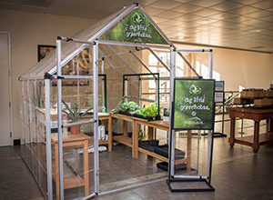 Interior greenhouse