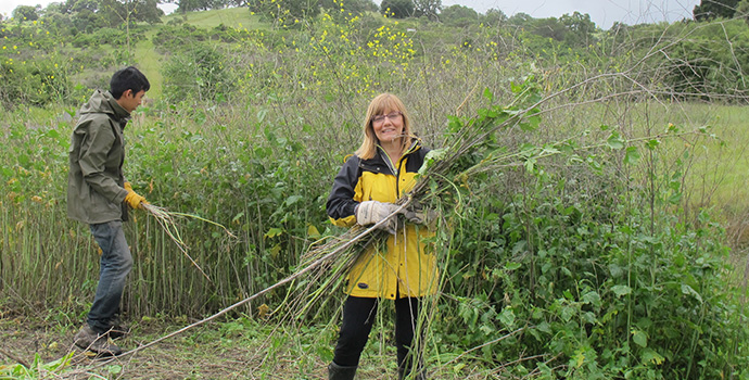 volunteer working in the foothills