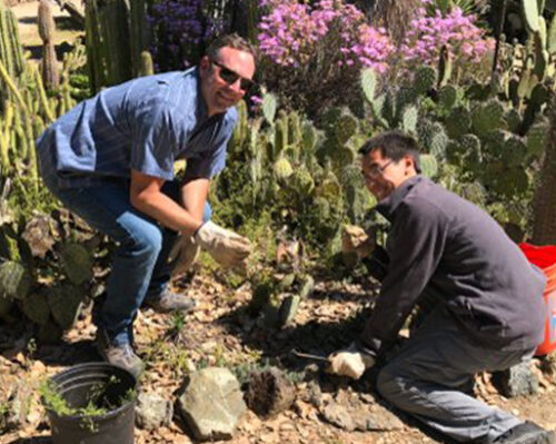 Working in the Arizona Garden