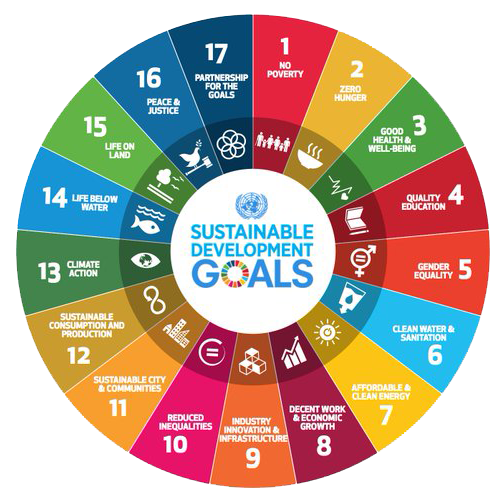 UN Sustainable Development Goals