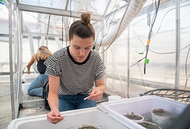 People in greenhouse