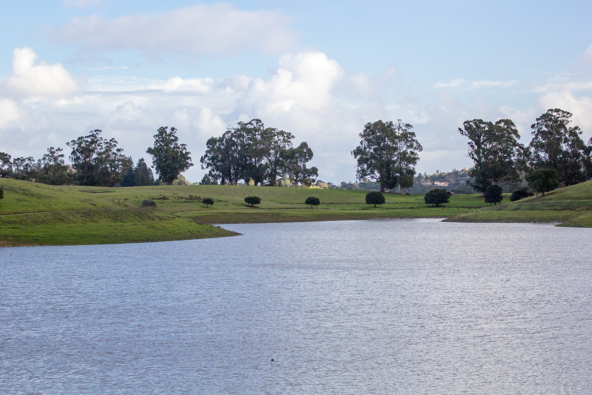 Photo of a small lake surrounded by trees