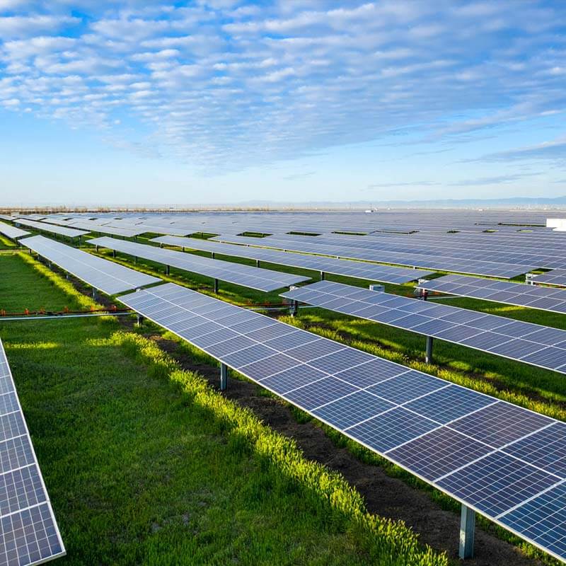 Rows of solar panels